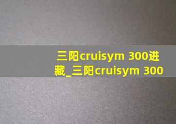 三阳cruisym 300进藏_三阳cruisym 300